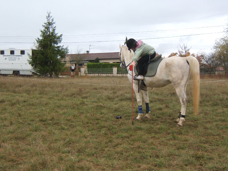 20081111__Equifun_0133