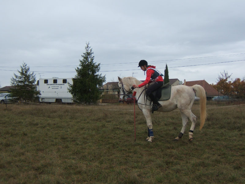 20081111__Equifun_0148