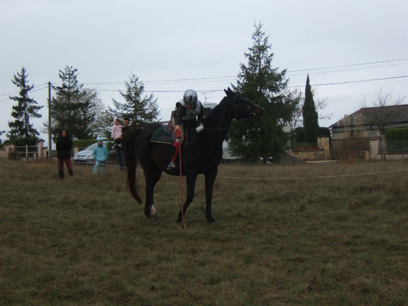 20081111__Equifun_0162