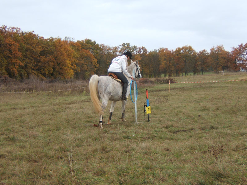 20081111__Equifun_0171