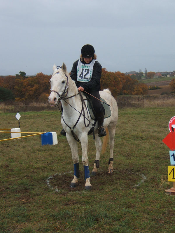 20081111__Equifun_0210
