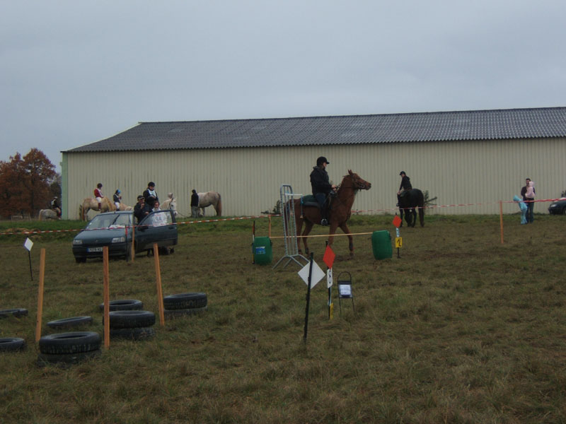 20081111__Equifun_0213
