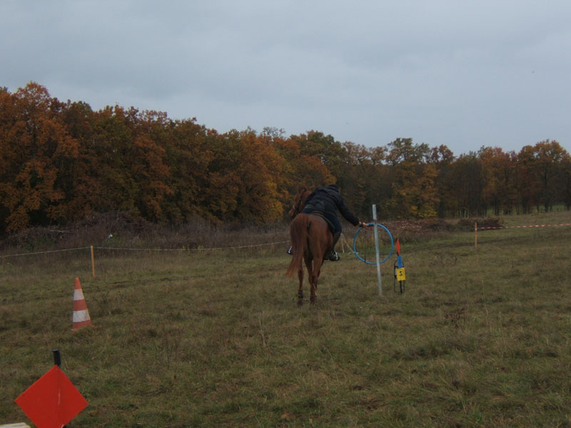 20081111__Equifun_0216