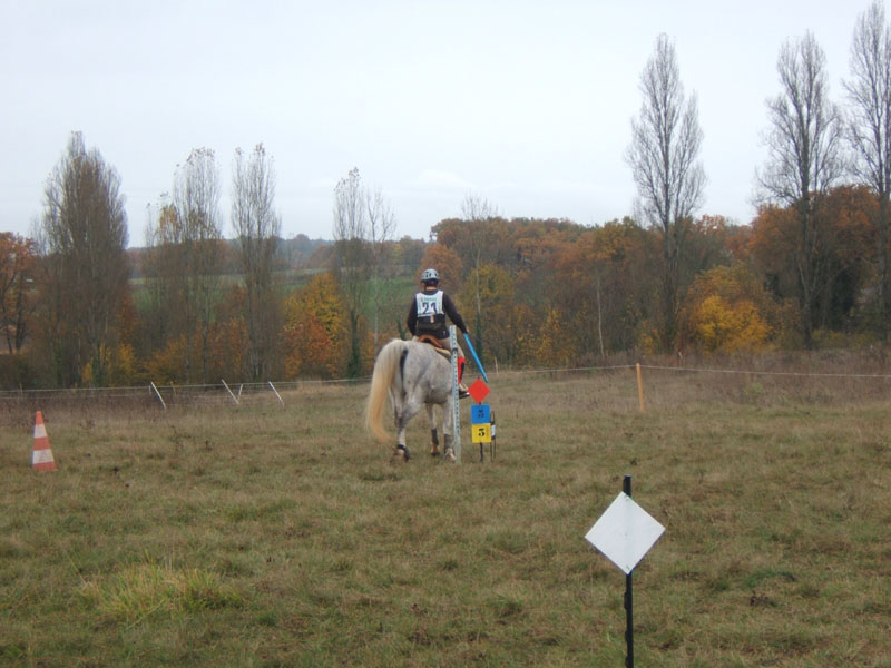 20081111__Equifun_0225