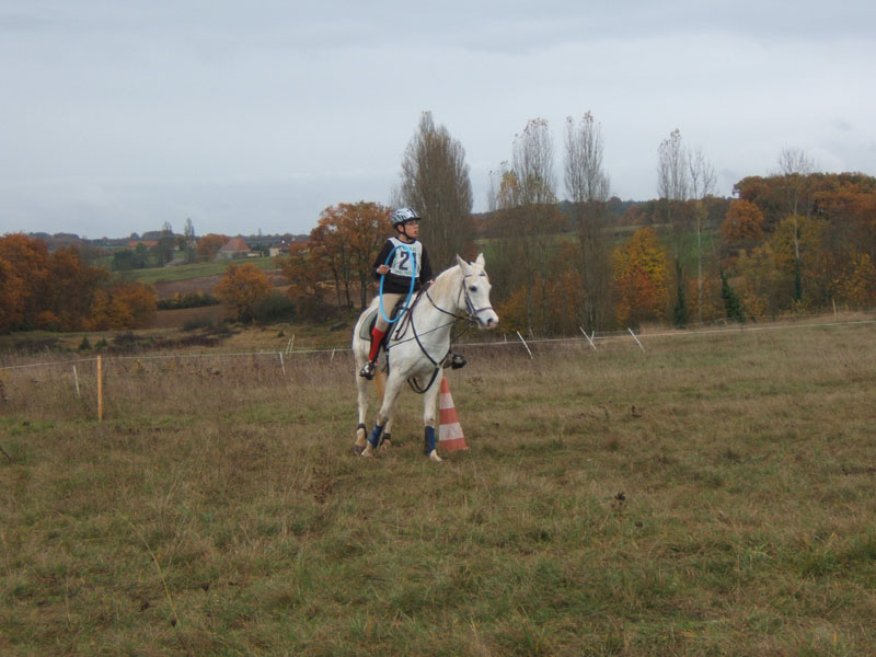 20081111__Equifun_0255