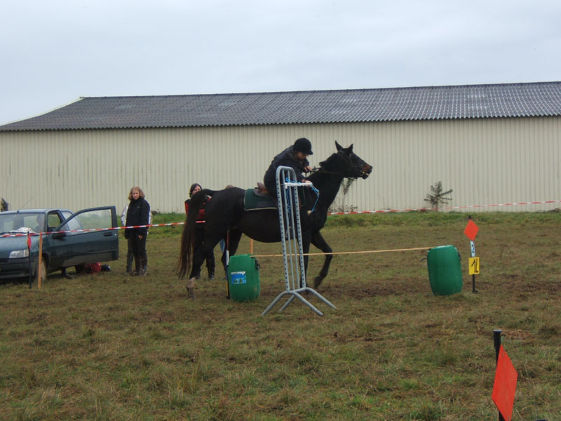 20081111__Equifun_0270