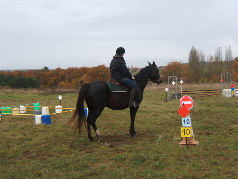 20081111__Equifun_0282