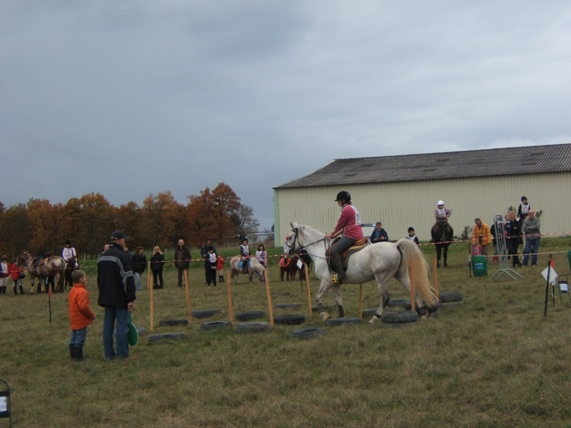 20081111__Equifun_0304