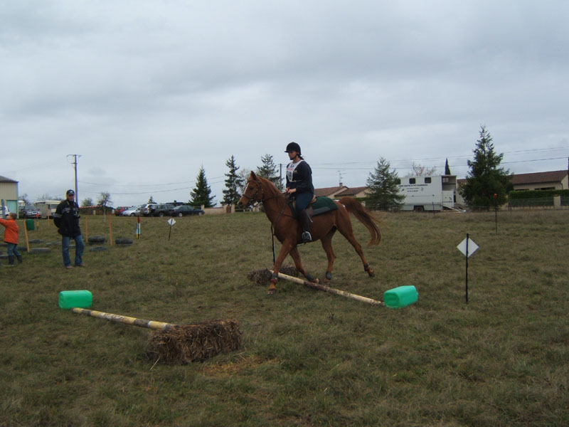 20081111__Equifun_0305