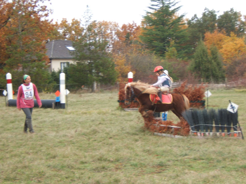 20081111__Equifun_0333