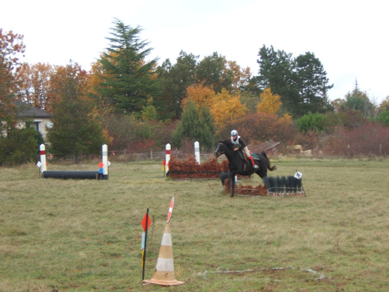 20081111__Equifun_0356