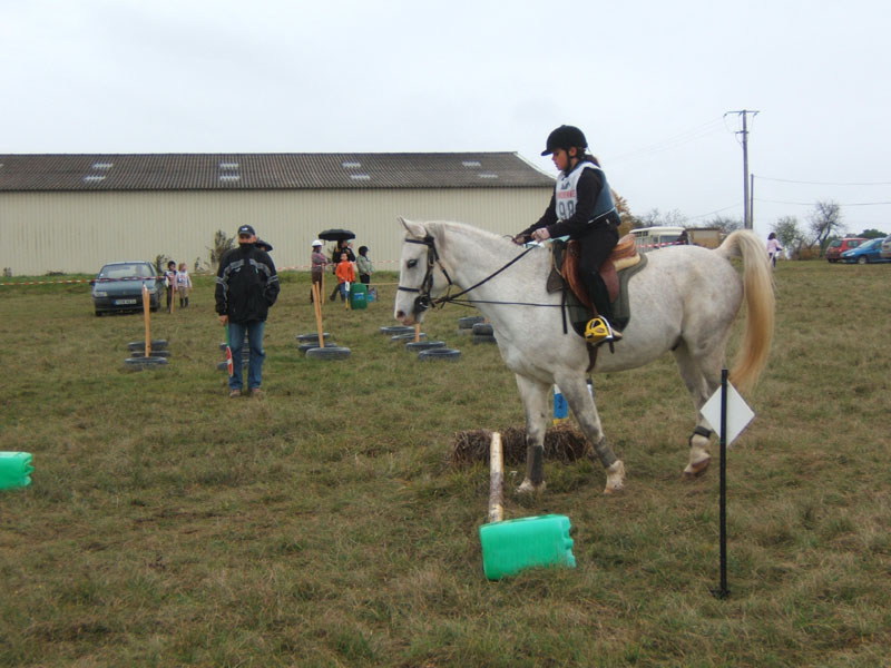 20081111__Equifun_0364