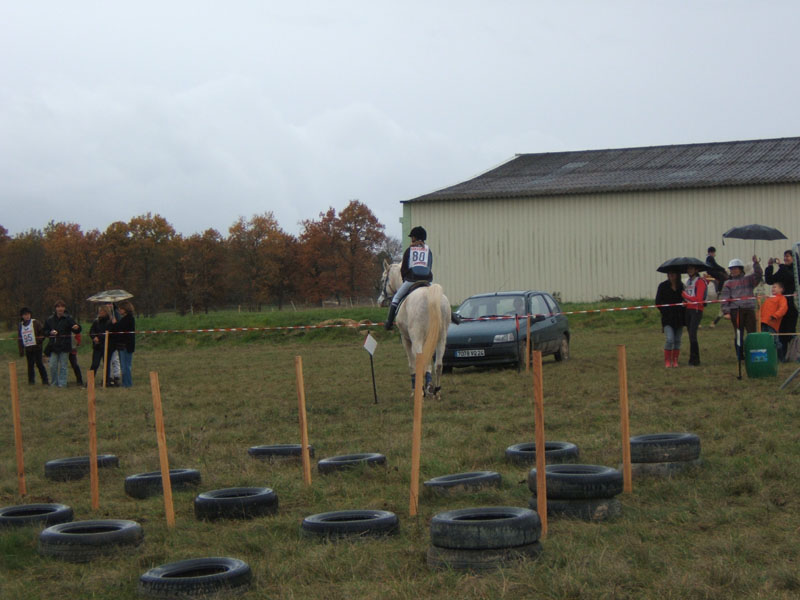 20081111__Equifun_0382