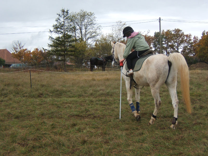 20081111__Equifun_0387