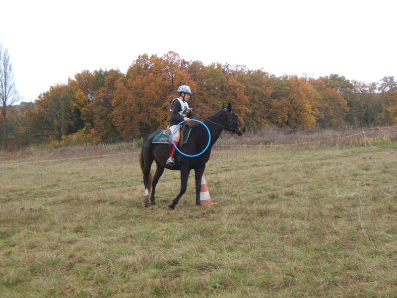 20081111__Equifun_0403