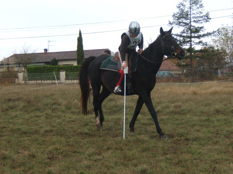 20081111__Equifun_0408