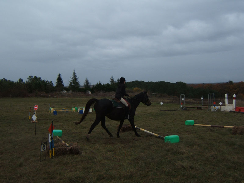 20081111__Equifun_0421