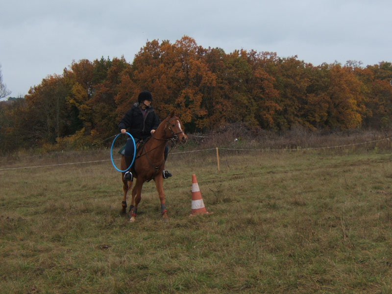 20081111__Equifun_0444