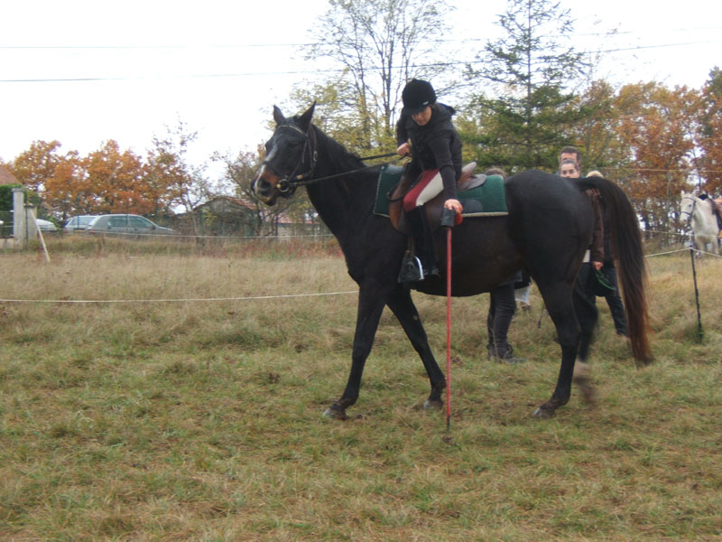 20081111__Equifun_0463