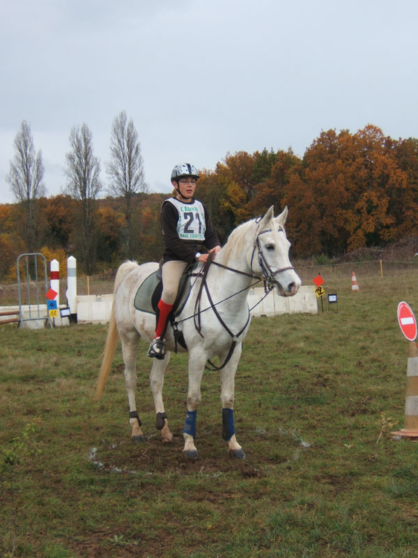 20081111__Equifun_0476