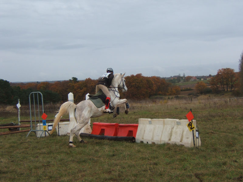 20081111__Equifun_0477
