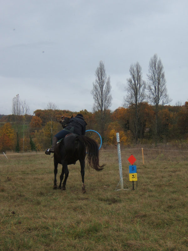 20081111__Equifun_0480