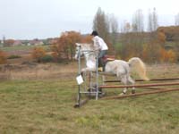 20081111__Equifun_0174