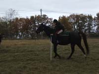 20081111__Equifun_0189