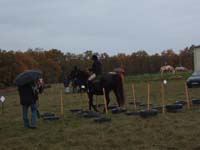 20081111__Equifun_0195
