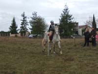 20081111__Equifun_0231