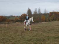20081111__Equifun_0255