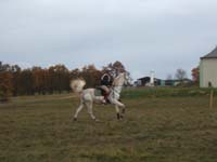 20081111__Equifun_0267
