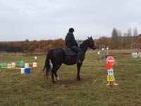 20081111__Equifun_0282