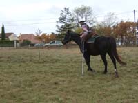 20081111__Equifun_0317