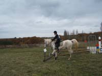 20081111__Equifun_0319
