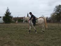 20081111__Equifun_0326