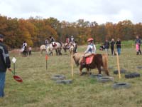 20081111__Equifun_0340
