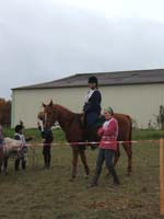 20081111__Equifun_0352
