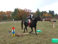 20081111__Equifun_0354