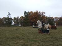 20081111__Equifun_0375
