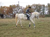 20081111__Equifun_0380