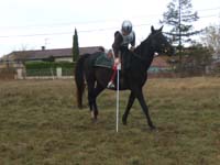 20081111__Equifun_0408