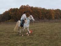 20081111__Equifun_0413
