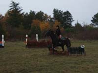 20081111__Equifun_0423