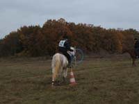 20081111__Equifun_0432