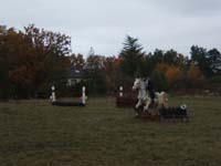 20081111__Equifun_0434
