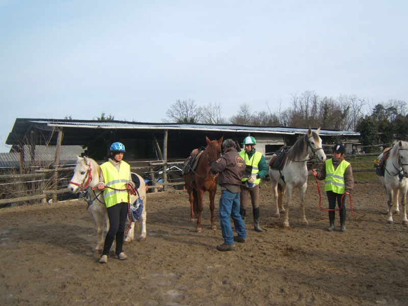 20090215_StAntoineAuberoche_TREC0026