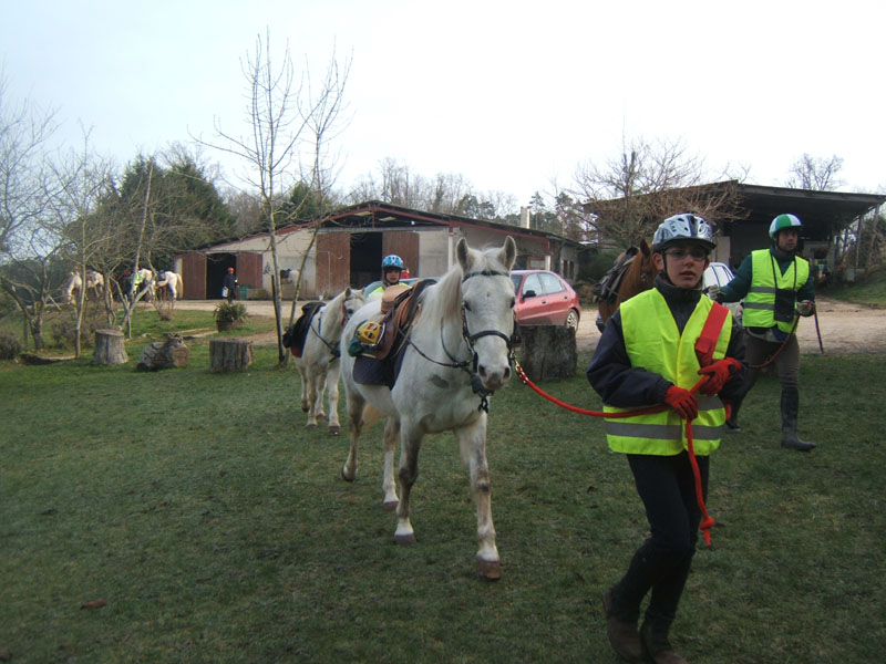 20090215_StAntoineAuberoche_TREC0031