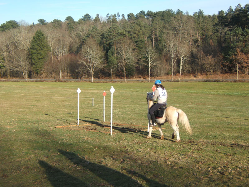 20090215_StAntoineAuberoche_TREC0251