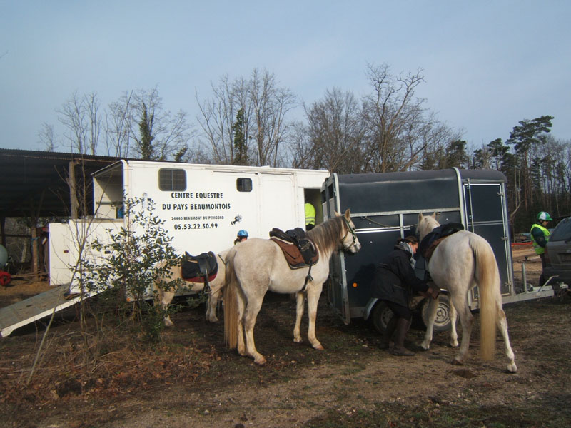 20090215_StAntoineAuberoche_TREC0368